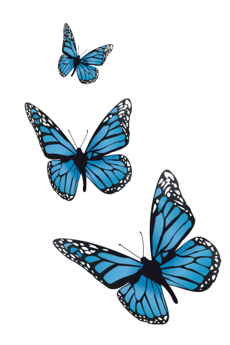 vlinders-01